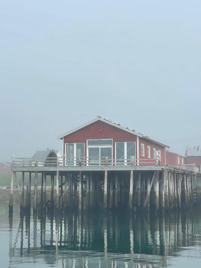 Ekkeroy Lodge - Arctic Living วัดเซอ ภายนอก รูปภาพ
