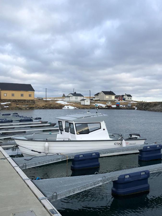 Ekkeroy Lodge - Arctic Living วัดเซอ ภายนอก รูปภาพ